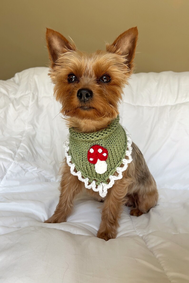 Hand Knitted Mushroom Pet Bandana, Custom Crochet Dog Bandana, Cute Cat Collar, Summer Necklace for Pet, Embroidered Bandana For Small Dog image 4