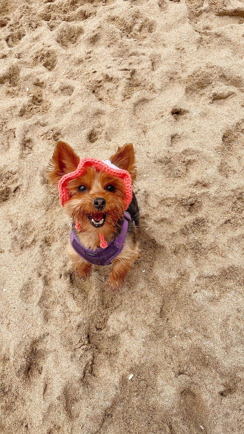 Flower Pet Hat Crochet Flower Pet Bucket Hat Summer Flower Dog Hat For Summer Flower Bucket Cat Hat Summer Dog Hat For Photo Prop Cat Hat image 6