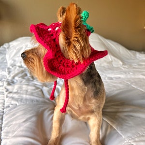 Crochet Strawberry Bucket Pet Hat, Cute Funny Cat Hat, Custom Dog Outfit, Girly Small Dog Costume, Kitten Clothing, Puppy Wear image 5