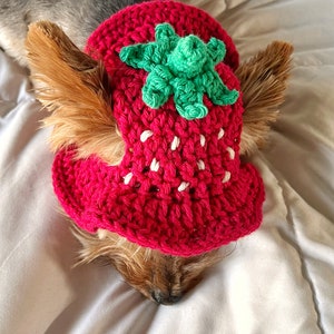 Crochet Strawberry Bucket Pet Hat, Cute Funny Cat Hat, Custom Dog Outfit, Girly Small Dog Costume, Kitten Clothing, Puppy Wear image 8