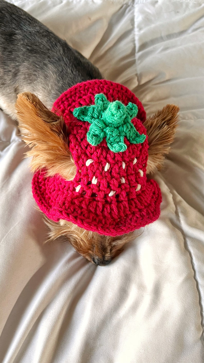 Crochet Strawberry Bucket Pet Hat, Cute Funny Cat Hat, Custom Dog Outfit, Girly Small Dog Costume, Kitten Clothing, Puppy Wear image 8