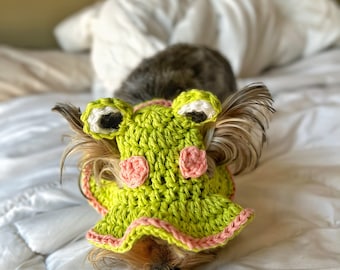 Froggy Bucket Pet Hat Cute Crochet Dog Hat Frog Bucket Cat Hat Trendy Pet Hat Photo Prop Frog Hat Pet