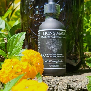 Organic Lions Mane Mushroom Tincture Natural Lion's Mane Dual Extract Mushroom Tincture  Lions Mane Medicinal Mushrooms