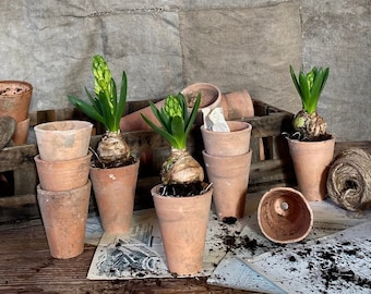 Antique French set of 15 antique seedling pots, garden pot, terracotta pot, plant pot.