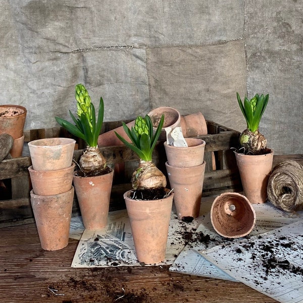 Ensemble français ancien de 15 pots de semis anciens, pot de jardin, pot en terre cuite, cache-pot.