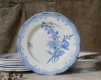 Juego de postre francés antiguo, 8 platos y 1 fuente para tarta. Piedra de hierro, transferware azul