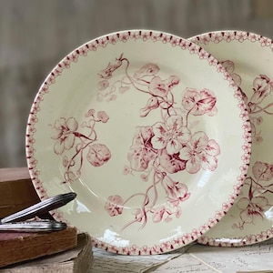 May include: Two cream-colored plates with a floral design in shades of burgundy. The plates feature a delicate border of small burgundy flowers. The floral pattern includes large blooms and trailing vines. The plates are likely vintage or antique.