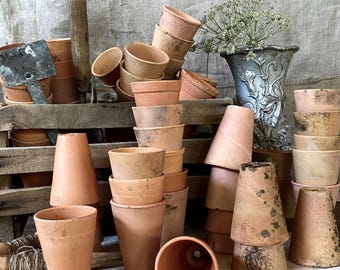 Antique French Terra Cotta Pots: Set of 10 Seedling Planters
