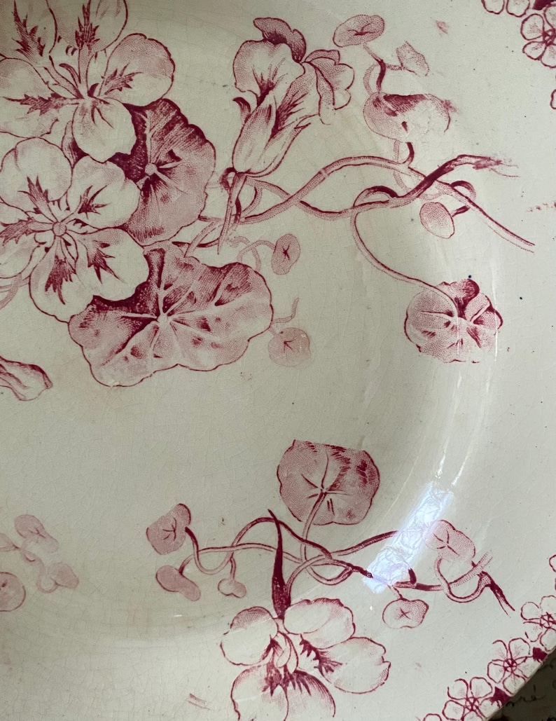 May include: A white ceramic plate with a floral design in shades of burgundy. The pattern features detailed flowers, leaves, and vines, creating a vintage aesthetic. The plate's edge has a delicate, scalloped border with small floral accents.