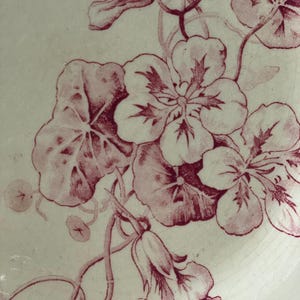 May include: Close-up of a white ceramic plate with a floral pattern in shades of burgundy. The design features large flowers, leaves, and delicate stems. The plate has a slightly aged appearance, with subtle crackling in the glaze.