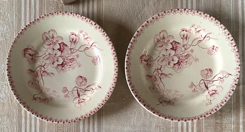 May include: Two off-white ceramic plates with a floral design in shades of pink. The plates have a scalloped edge with a repeating pink pattern. The floral design features flowers and vines.