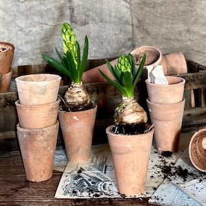 Antique French Terracotta Seedling Pots - Set of 15