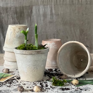 pflanztpfe trkis Blumentopf / Pflanzgef Bamboo hoch  Glasierter Steinguttopf in Gr