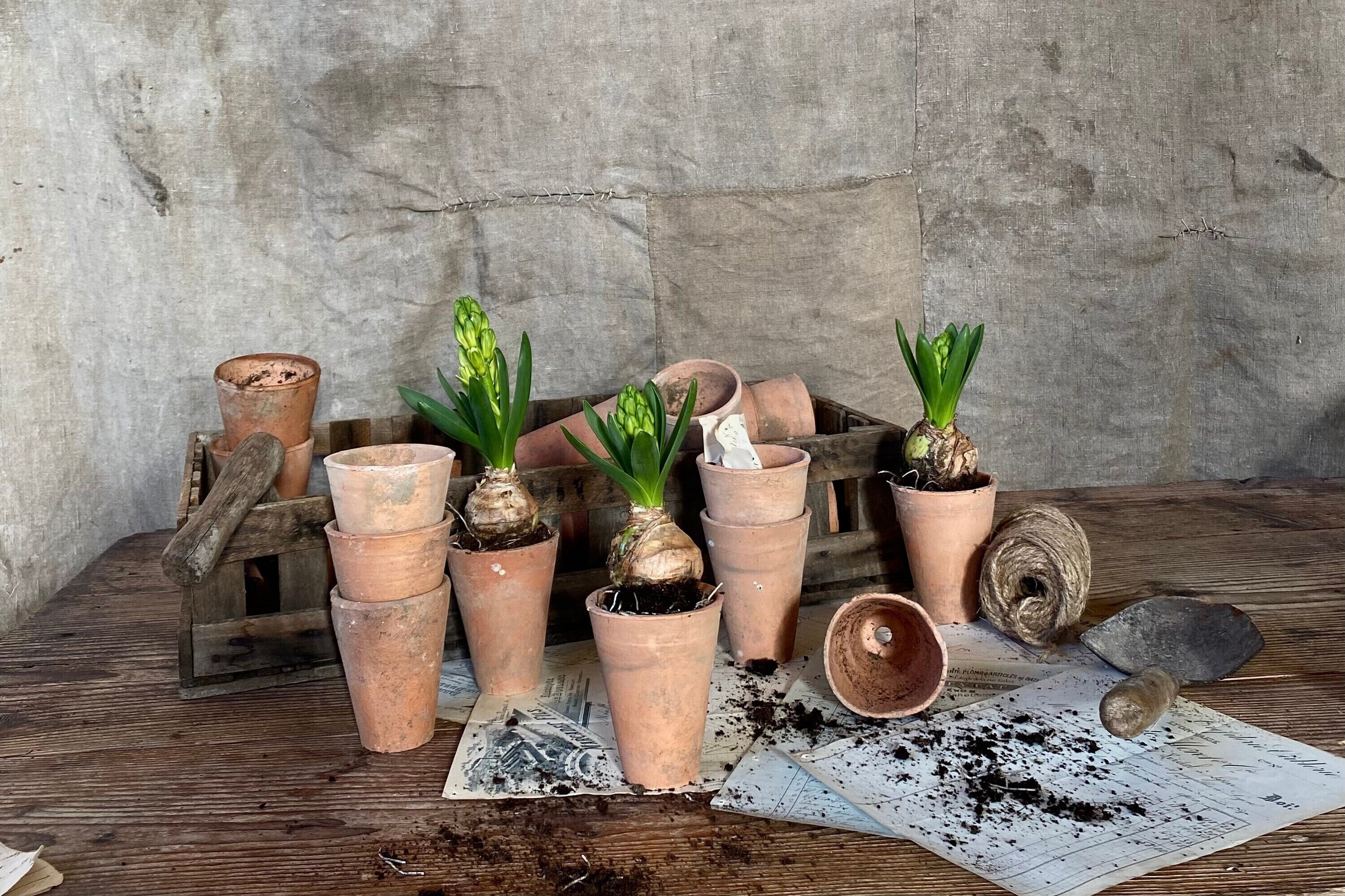 French Terracotta Pots - Set of 3 – The Warped Table