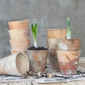Pots Antiques en Terre Cuite, France : Set de 10 Jardinières de Semis