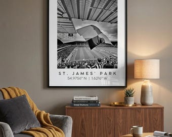 Newcastle United Wall Art - St James Park