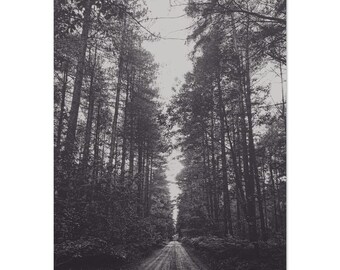 Monochromer Waldspuren-Druck, schwarz-weißes Mattpapier Poster