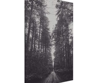 Waldblick Leinwand - Monochrome Wandkunst