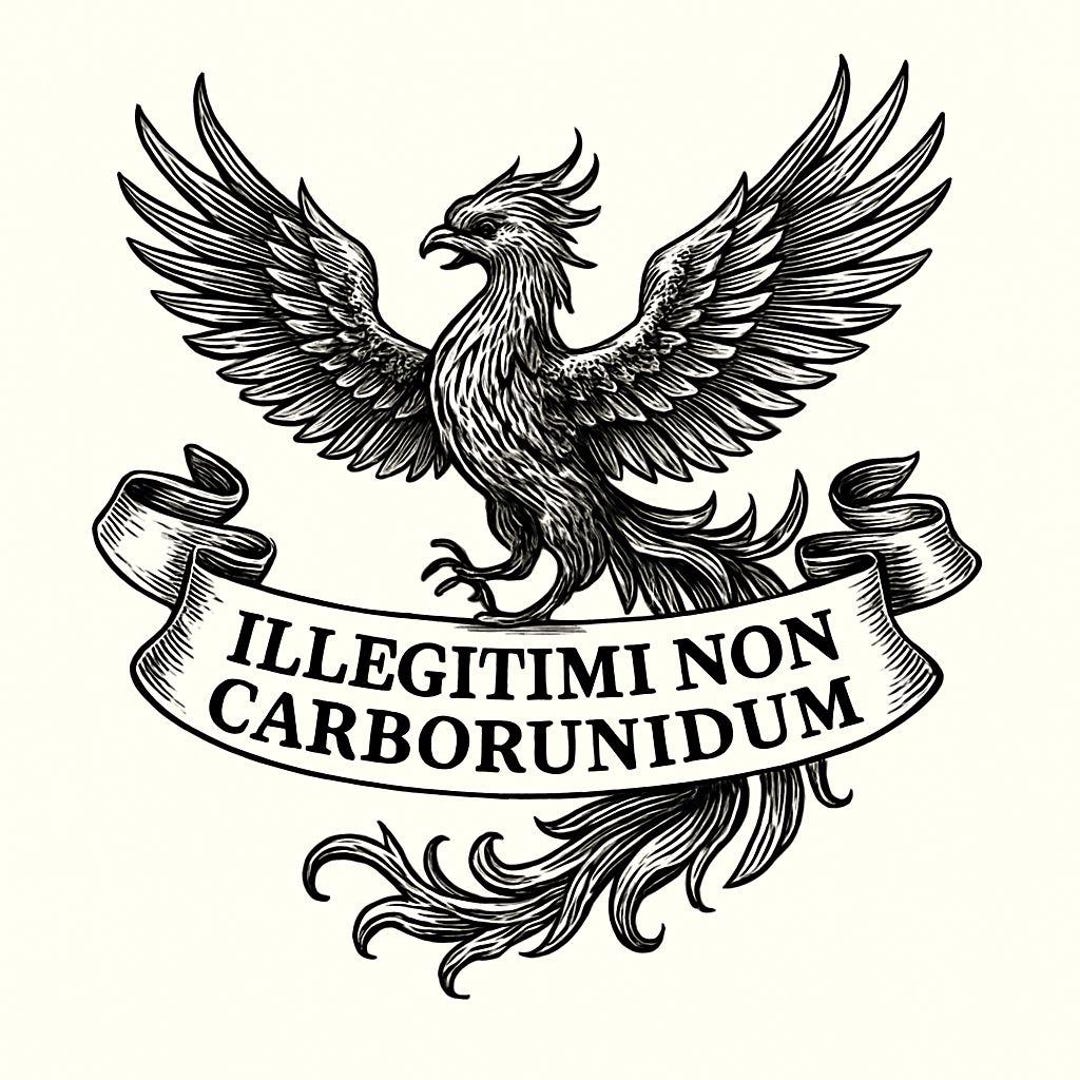il_1080xN.7013327936_bjpl.jpg
