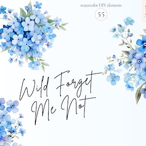 Aquarelle Floral Forget Me Not Clipart PNG Ensemble de 55, Fleurs bleues, Couronnes de fleurs, Cartes d’invitation PNG, PNG transparent, Utilisation commerciale