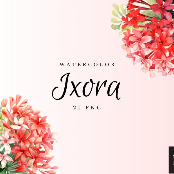 Watercolor Ixora Clipart PNG Set of 21, Ixora Floral Flower Bouquet PNG, Digital Illustration, No Background, Wedding Elements, Ixora Flower