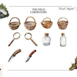 Vintage magnifying glass, foraging basket, and specimen jars for botanical researchers.