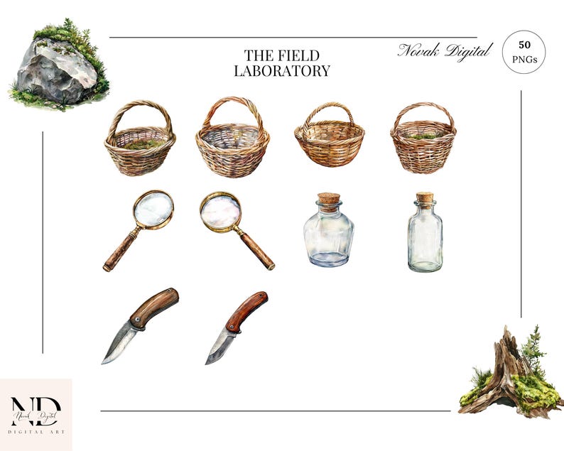 Vintage magnifying glass, foraging basket, and specimen jars for botanical researchers.