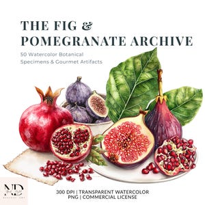 Può includere: Illustrazione ad acquerello con fichi e melograni. L'immagine mostra frutti interi e affettati, con melograni rosso vivo e fichi viola scuro. Sono visibili anche foglie verdi e il testo "THE FIG & POMEGRANATE ARCHIVE".