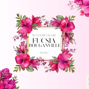 Aquarel Fucsia Bouganville bloemen clipart, Bouganville, zomer en lente clipart, aquarel PNG bundel, Buganville kunst, commercieel gebruik