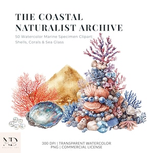 Coastal Naturalist Clipart - Vintage Sea Shells PNG, Marine Watercolor Study, Coral & Sea Glass, Nautical Ephemera, Scientific Shells Bundle
