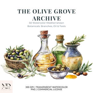 Peut inclure: Illustration à l'aquarelle avec des bouteilles d'huile d'olive, un panier d'olives et des brins de romarin. Le texte indique "THE OLIVE GROVE ARCHIVE" et "50 Watercolor Mediterranean Botanicals: Branches, Oil & Tools". Un petit bol d'olives et une cuillère en bois sont également présents.