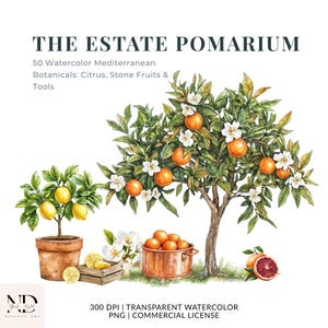 May include: Watercolor illustration featuring citrus fruits and trees. The image includes a lemon tree in a terracotta pot, an orange tree with blossoms, and a copper pot filled with oranges. The text reads "THE ESTATE POMARIUM".