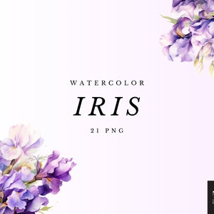 Acquerello Iris Clipart PNG Set di 21, Bouquet di fiori floreali di Iris PNG, Illustrazione digitale, Senza sfondo, Elementi di matrimonio, Elementi di Iris