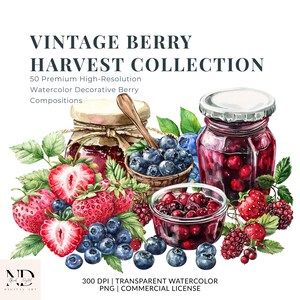 Vintage bärskördesamling, akvarell bär clipart PNG, jordgubb hallon fruktpaket, Cottagecore-grafik