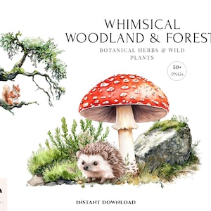 May include: A whimsical watercolour illustration of woodland elements. It features a red mushroom with white spots, a hedgehog, and a squirrel. The image includes the text "WHIMSICAL WOODLAND & FOREST" and "BOTANICAL HERBS & WILD PLANTS".