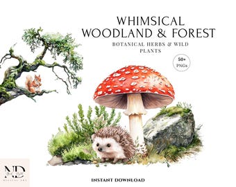 Whimsical Woodland Clipart - Forest Mushrooms PNG, Cute Forest Animals Watercolor, Nursery Wall Art, Mossy Botanical, Woodland Wedding Kit