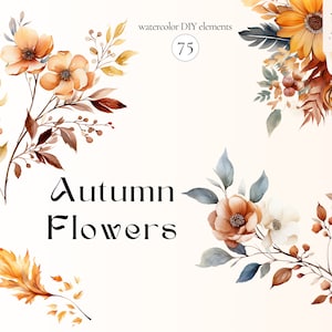 Watercolor Fall Flowers Clipart - Fall Decor Clipart - Floral Clipart -  Autumn Clipart - Premade Clipart - Watercolor PNG - Wedding Clipart
