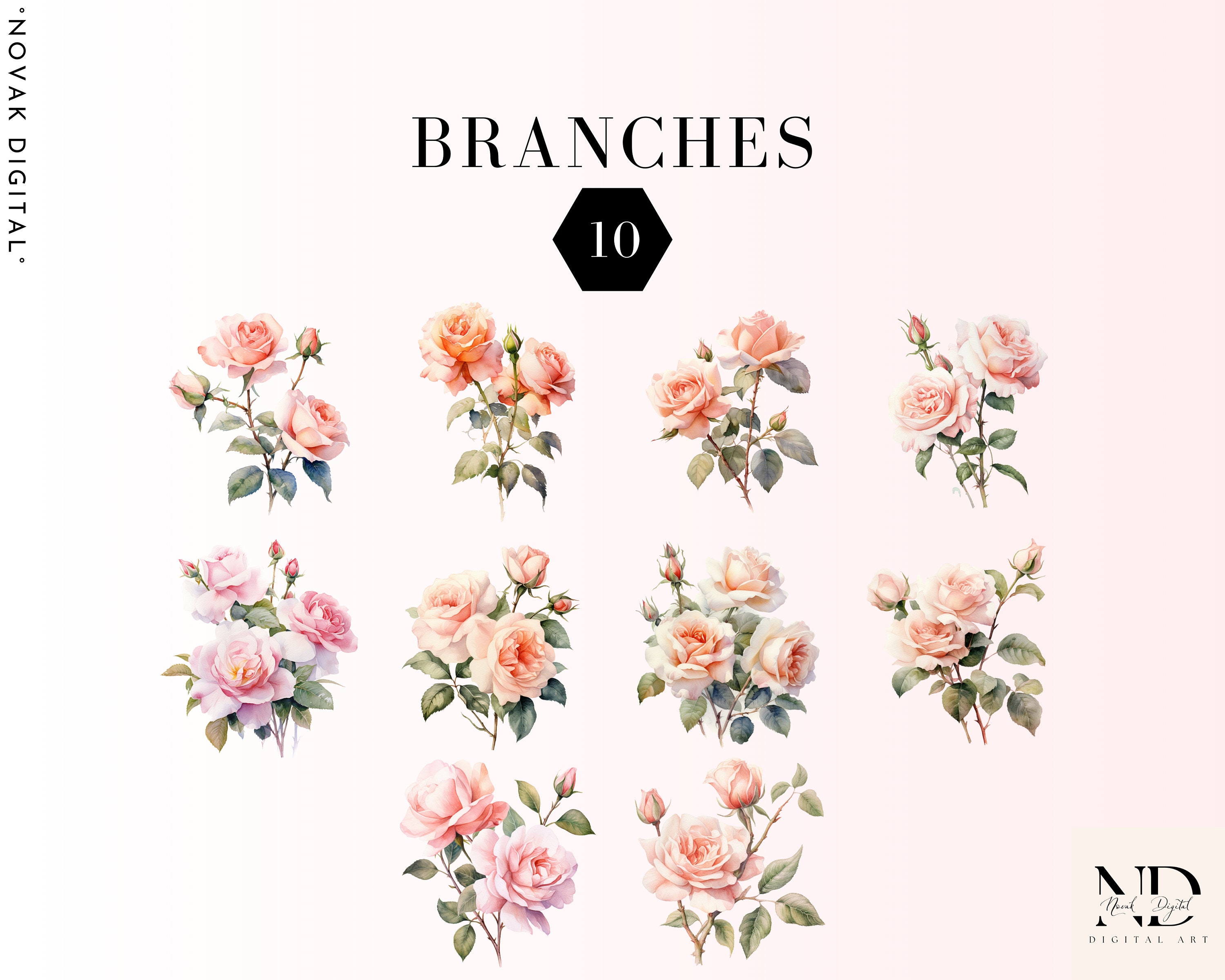 Watercolor Blush Roses Clipart PNG Set of 55, Pink Flowers, Roses ...
