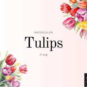 Aquarel tulpen clipart PNG set van 21, tulpen bloemen bloemboeket PNG, digitale afbeelding, geen achtergrond, bruiloft elementen