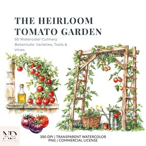 May include: Watercolor illustration titled "THE HEIRLOOM TOMATO GARDEN" featuring red tomatoes on vines, a wooden trellis, and a stone window with a bottle of oil. The image includes text: "50 Watercolor Culinary Botanicals: Varieties, Tools & Vines."