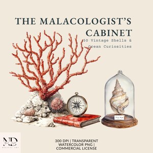 Peut inclure: Illustration à l'aquarelle avec une branche de corail rouge, une boussole, un livre rouge et un coquillage sous un dôme en verre. Le texte indique "The Malacologist's Cabinet" et "50 Vintage Shells & Ocean Curiosities".