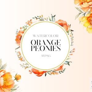 Aquarell Orange Pfingstrose Clipart PNG Set von 55, Orange Pfingstrose Blumen Blumen Blumenstrauß PNG, digitale Illustration, ohne Hintergrund, Hochzeit Elemente