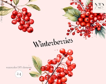 May include: Watercolor illustration of winterberries, a set of 24 digital elements for DIY projects. The image features three branches of red berries with green leaves against a light pink background.