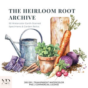 May include: Watercolor illustration featuring gardening tools and produce. A galvanized watering can, purple gloves, and a terracotta pot with leafy greens are displayed with carrots, radishes, and a red cabbage. The text reads "THE HEIRLOOM ROOT ARCHIVE."