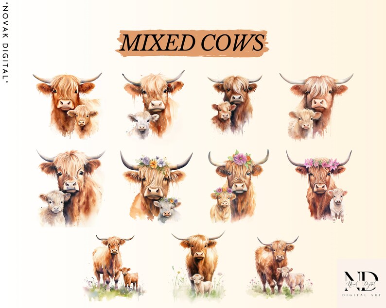 Watercolor Highland Cow Clipart PNG Baby Shower Decor Highland Cow ...