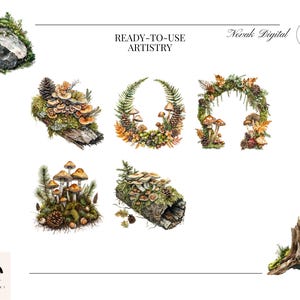 Miniature forest ecosystem illustration with mushrooms, pine needles, and a small snail.