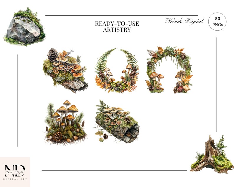 Miniature forest ecosystem illustration with mushrooms, pine needles, and a small snail.