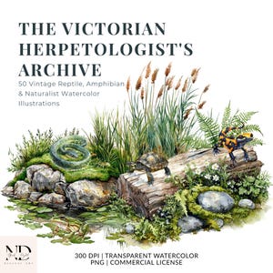 Könnte beinhalten: Eine digitale Sammlung mit dem Titel THE VICTORIAN HERPETOLOGIST'S ARCHIVE mit 50 Vintage-Aquarellillustrationen von Reptilien und Amphibien. Das Kunstwerk zeigt eine grüne Schlange, eine Schildkröte, einen Frosch und einen Salamander.