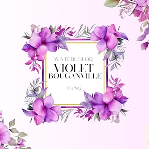 Akwarela Fioletowe Kwiaty Bouganville Clipart, Bouganville, Lato I Wiosna Clipart, Akwarela PNG Bundle, Sztuka Buganville, Użytek Komercyjny