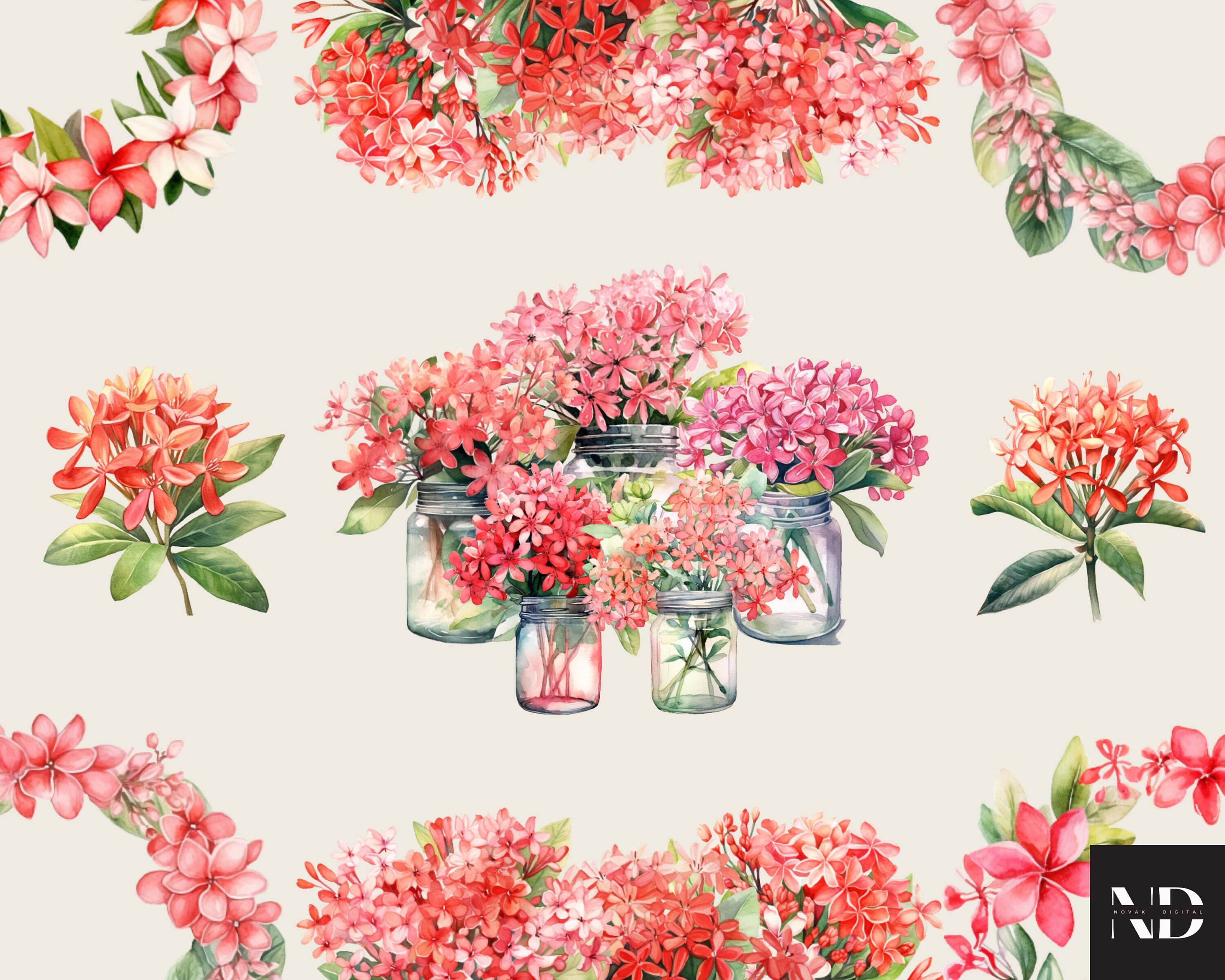 Watercolor Ixora Clipart PNG Set of 21, Ixora Floral Flower Bouquet PNG ...